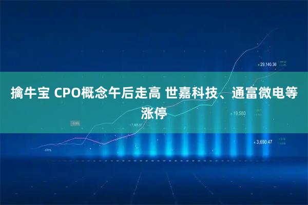擒牛宝 CPO概念午后走高 世嘉科技、通富微电等涨停