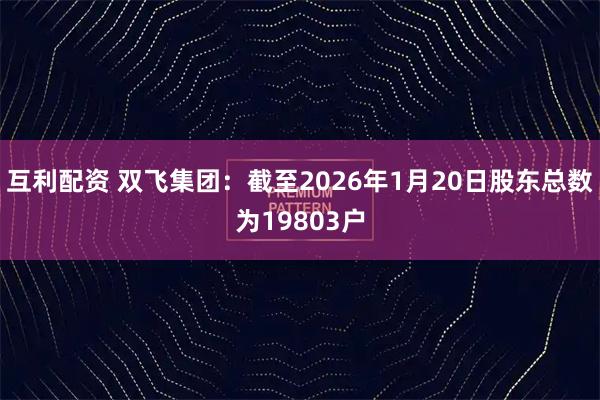 互利配资 双飞集团：截至2026年1月20日股东总数为19803户