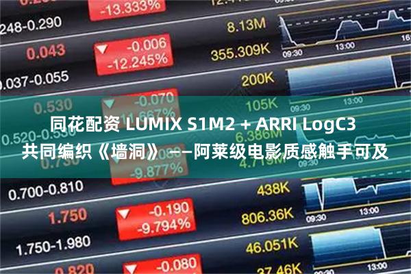 同花配资 LUMIX S1M2 + ARRI LogC3 共同编织《墙洞》 ——阿莱级电影质感触手可及